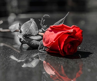 Wrongful Death Image